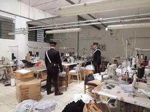 一只老鼠引发的法律风暴 意大利华人老板娘被捕背后的警示